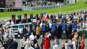 horse race 2