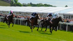 horse race